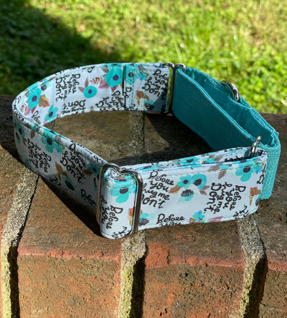 Before you hug me…. Don’t! Dog Collar- Martingale- Quick Release- No Buckle Slide- Leash- Handmade Dog Collars