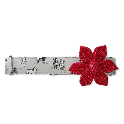 You Heifer Dog Collar- Martingale- Quick Release- No Buckle Slide- Leash- Handmade Dog Collars