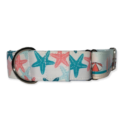 Beachin’ It Dog Collar- Martingale- Quick Release- No Buckle Slide- Leash- Handmade Dog Collars