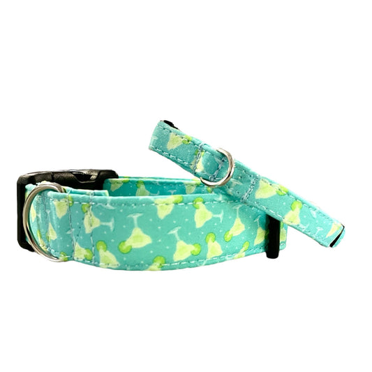 Salt and Lime Dog Collar- Martingale- Quick Release- No Buckle Slide- Leash- Handmade Dog Collars