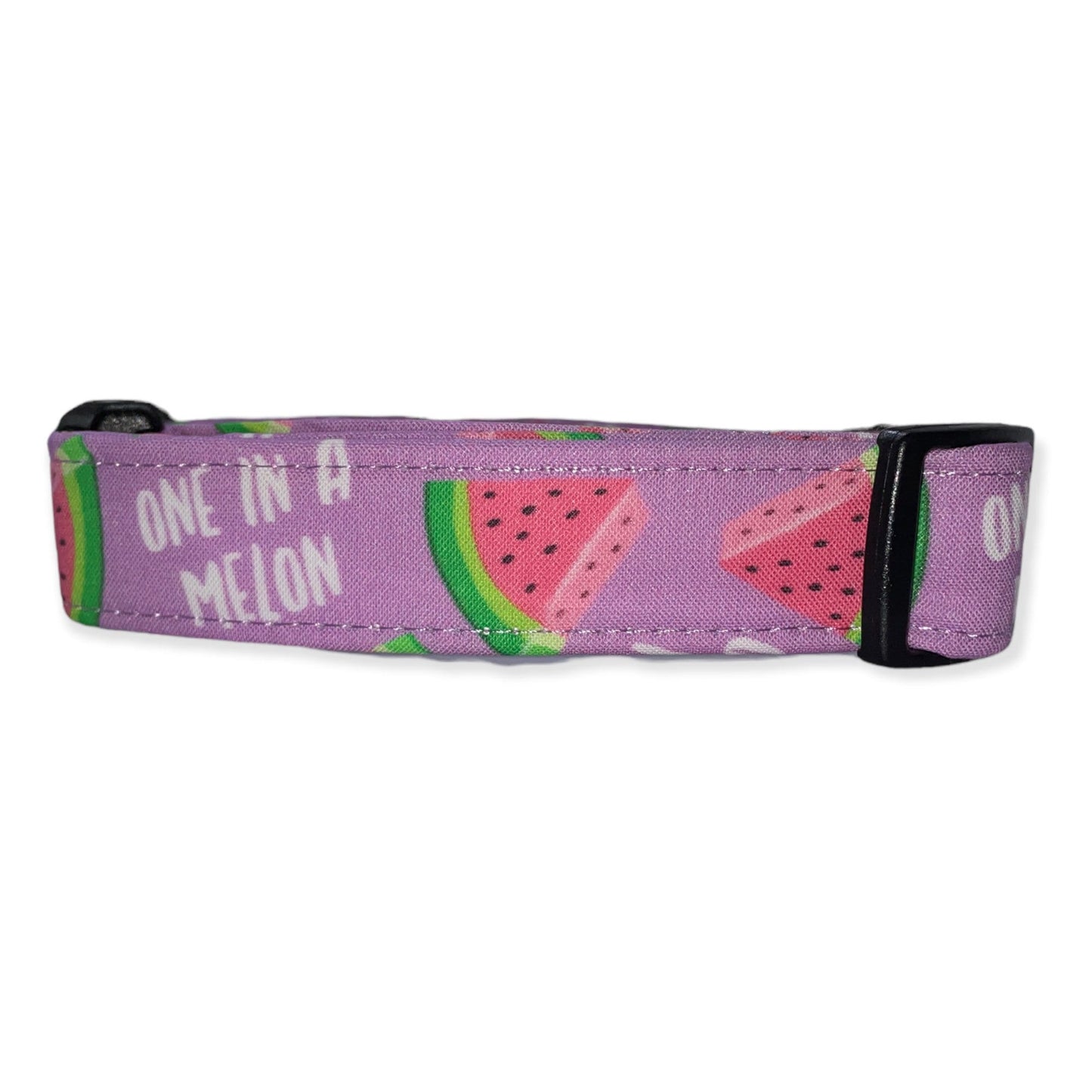 One in a Melon Dog Collar- Martingale- Quick Release- No Buckle Slide- Leash- Handmade Dog Collars