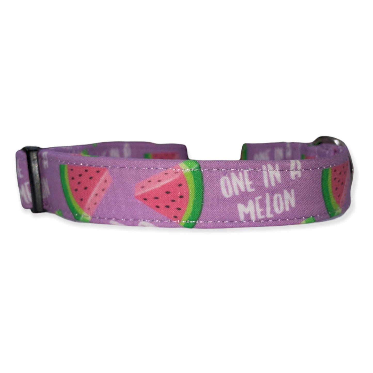 One in a Melon Dog Collar- Martingale- Quick Release- No Buckle Slide- Leash- Handmade Dog Collars