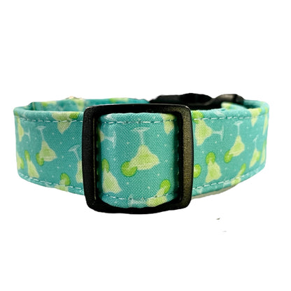 Salt and Lime Dog Collar- Martingale- Quick Release- No Buckle Slide- Leash- Handmade Dog Collars