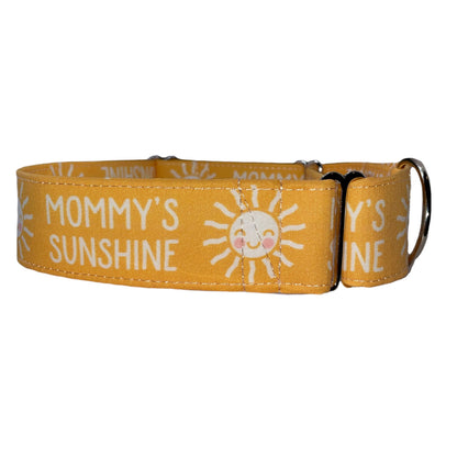 Mommy’s Sunshine Dog Collar- Martingale- Quick Release- No Buckle Slide- Leash- Handmade Dog Collars