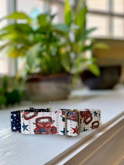 Patriotic Summer Dog Collar- Martingale- Quick Release- No Buckle Slide- Leash- Handmade Dog Collars