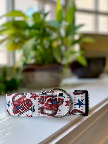 Patriotic Summer Dog Collar- Martingale- Quick Release- No Buckle Slide- Leash- Handmade Dog Collars