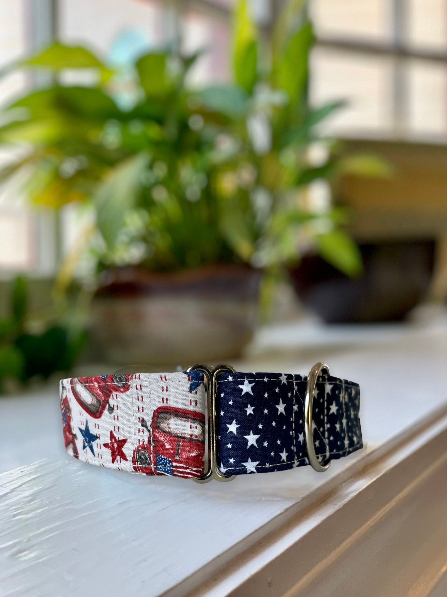 Patriotic Summer Dog Collar- Martingale- Quick Release- No Buckle Slide- Leash- Handmade Dog Collars