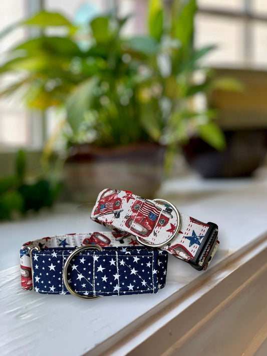 Patriotic Summer Dog Collar- Martingale- Quick Release- No Buckle Slide- Leash- Handmade Dog Collars