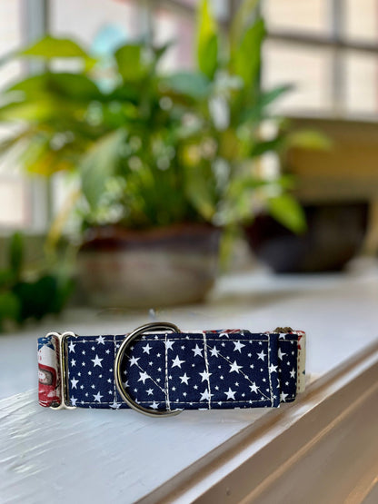 Patriotic Summer Dog Collar- Martingale- Quick Release- No Buckle Slide- Leash- Handmade Dog Collars