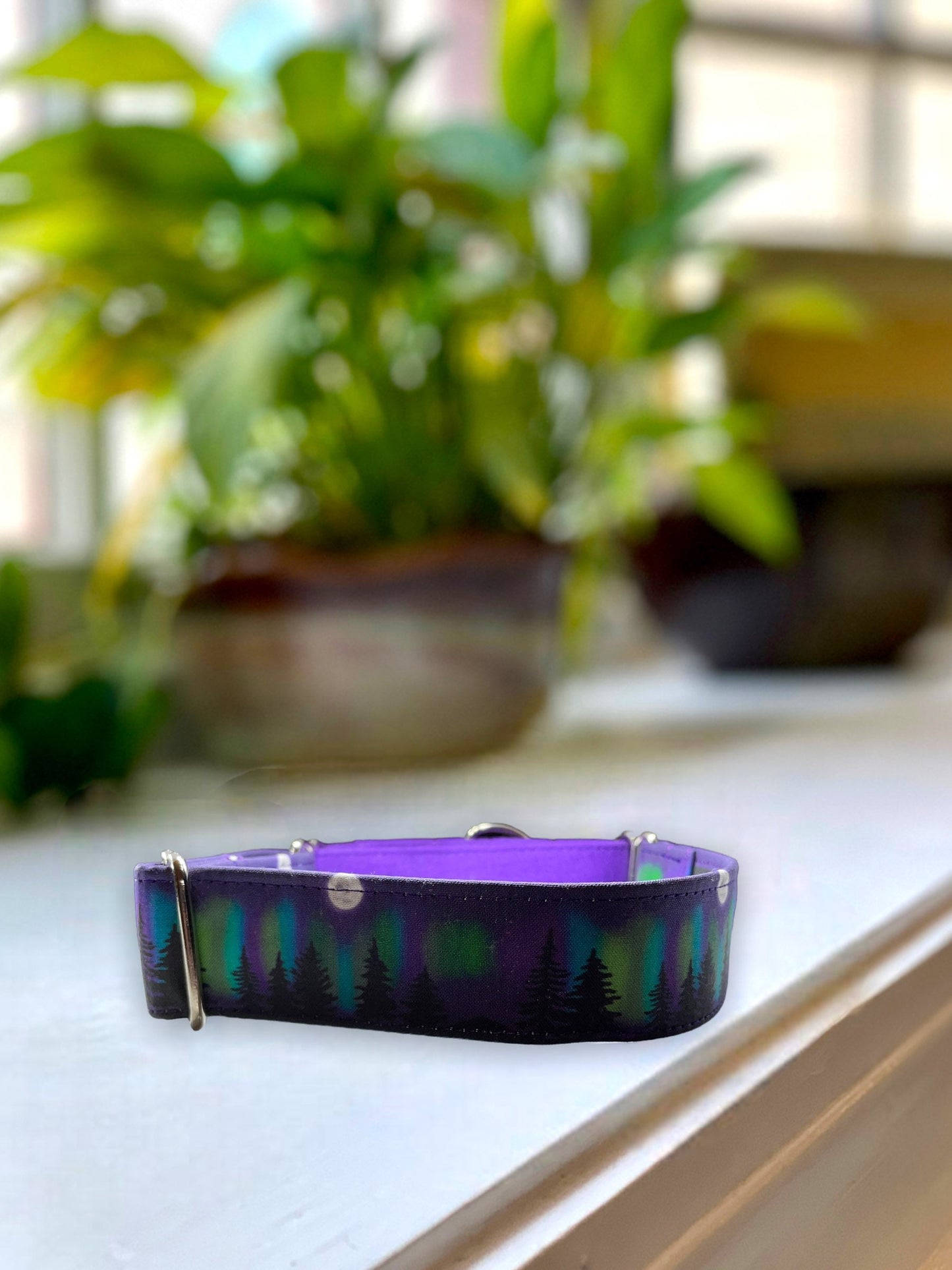 Northern Lights Dog Collar- Martingale- Quick Release- No Buckle Slide- Leash- Handmade Dog Collars