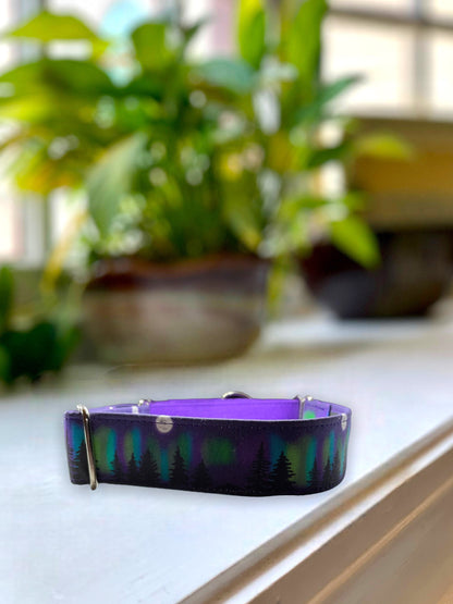 Northern Lights Dog Collar- Martingale- Quick Release- No Buckle Slide- Leash- Handmade Dog Collars