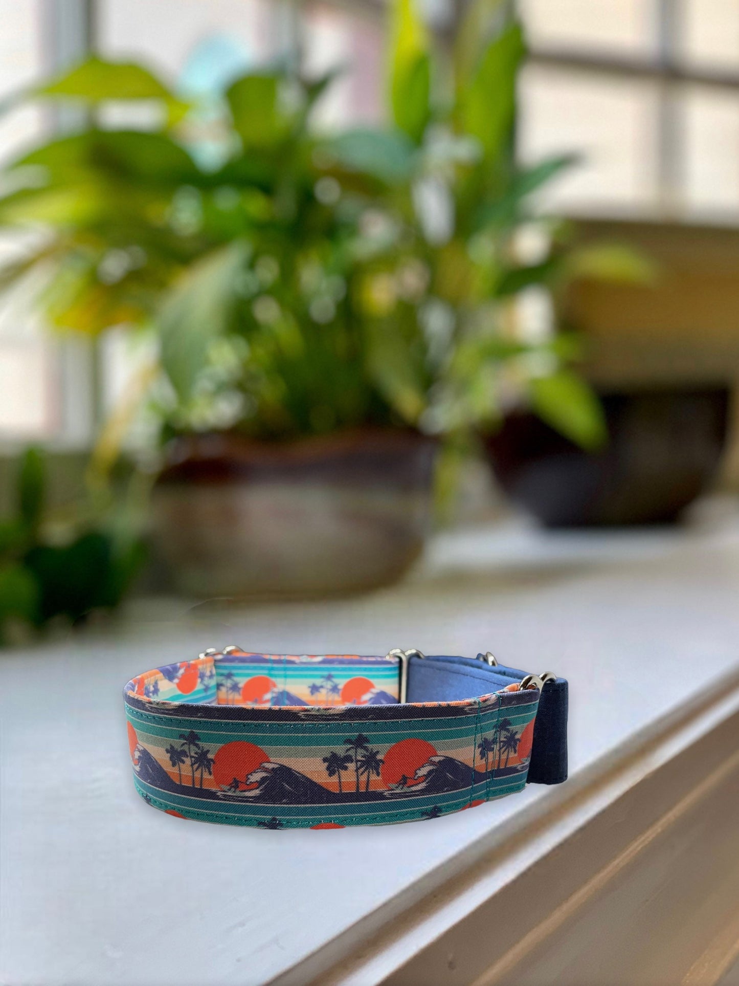 Sunset Beach Dog Collar- Martingale- Quick Release- No Buckle Slide- Leash- Handmade Dog Collars