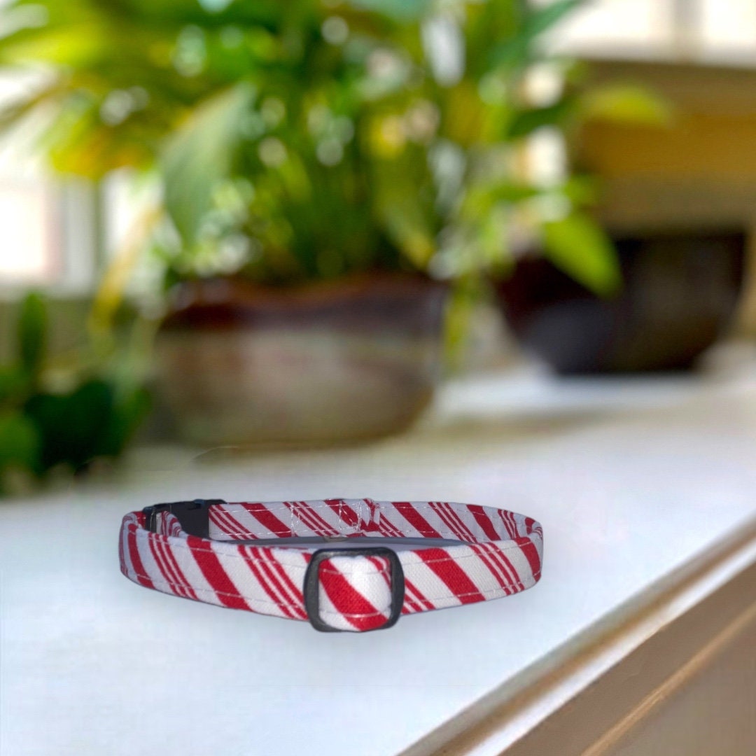 Peppermint Stripes Dog Collar- Martingale- Quick Release- No Buckle Slide- Leash- Handmade Dog Collars