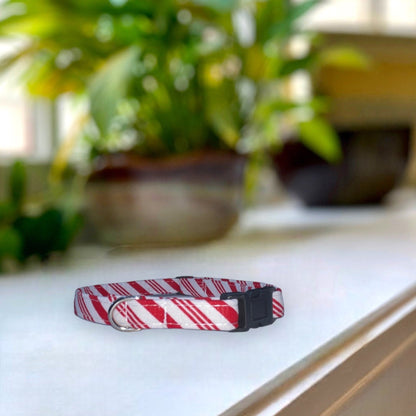 Peppermint Stripes Dog Collar- Martingale- Quick Release- No Buckle Slide- Leash- Handmade Dog Collars