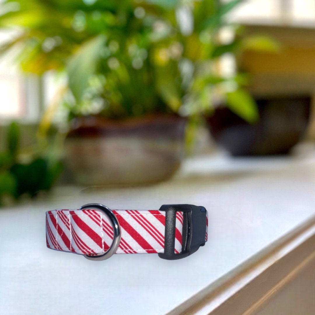 Peppermint Stripes Dog Collar- Martingale- Quick Release- No Buckle Slide- Leash- Handmade Dog Collars