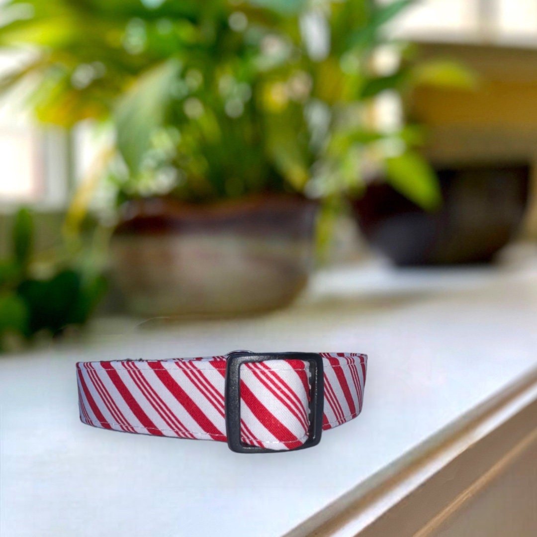 Peppermint Stripes Dog Collar- Martingale- Quick Release- No Buckle Slide- Leash- Handmade Dog Collars