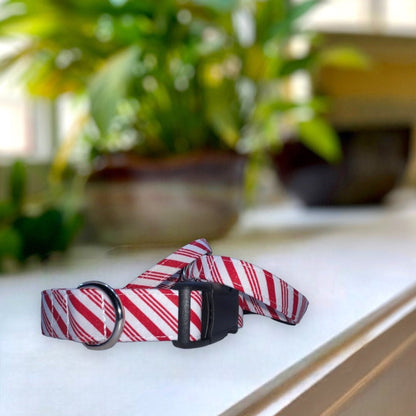 Peppermint Stripes Dog Collar- Martingale- Quick Release- No Buckle Slide- Leash- Handmade Dog Collars