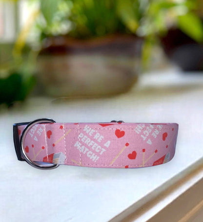 We’re a Perfect Match Dog Collar- Martingale- Quick Release- No Buckle Slide- Leash- Handmade Dog Collars