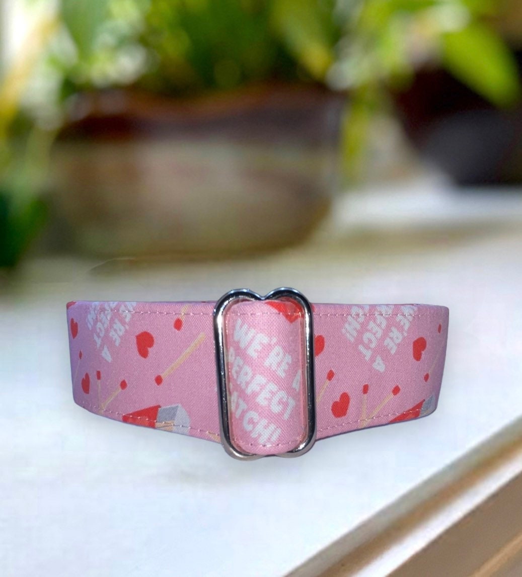 We’re a Perfect Match Dog Collar- Martingale- Quick Release- No Buckle Slide- Leash- Handmade Dog Collars