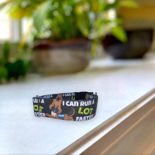 I Can Run Faster Dog Collar- Martingale- Quick Release- No Buckle Slide- Leash- Handmade Dog Collars