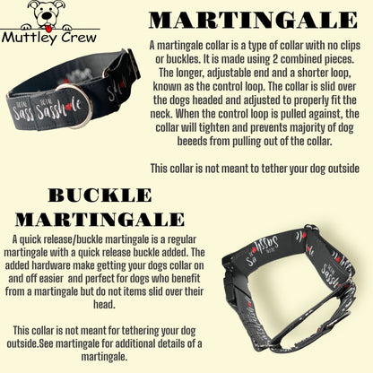 Before you hug me…. Don’t! Dog Collar- Martingale- Quick Release- No Buckle Slide- Leash- Handmade Dog Collars