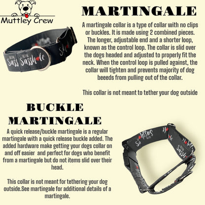 Beach Crusing Dog Collar- Martingale- Quick Release- No Buckle Slide- Leash- Handmade Dog Collars