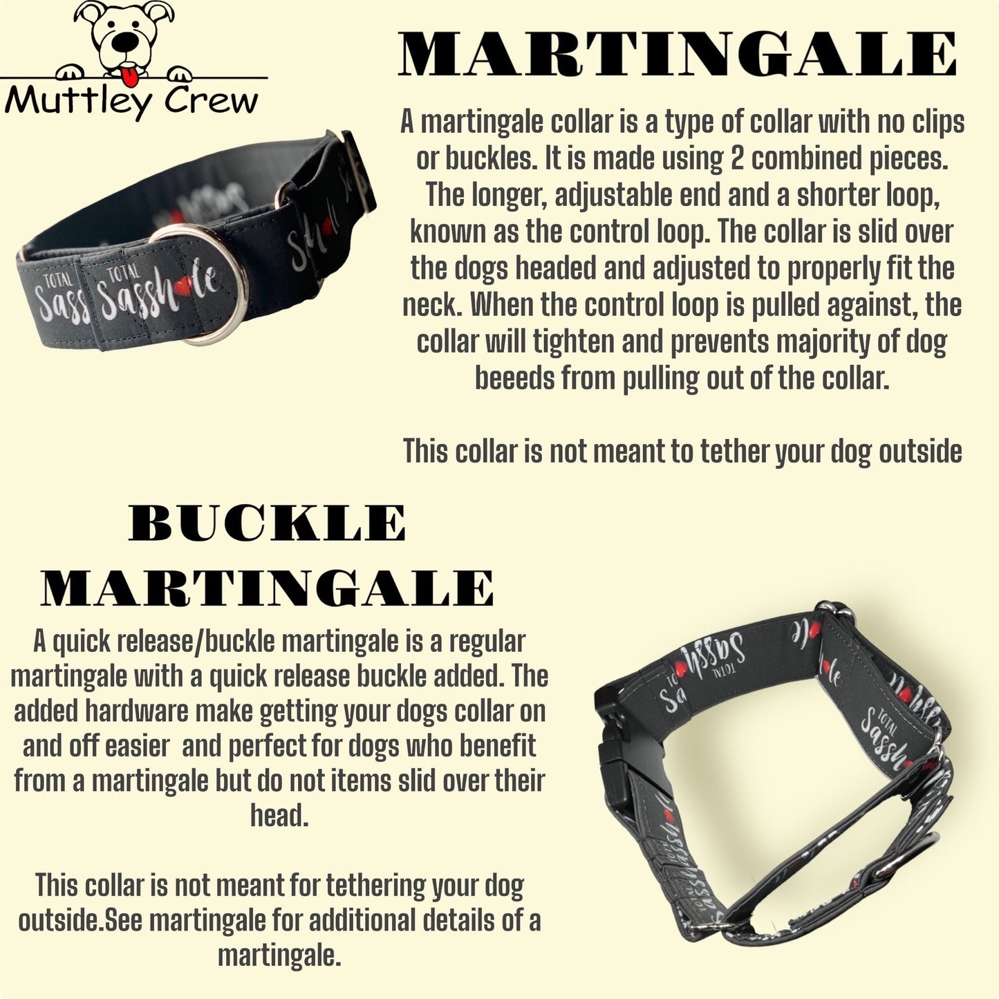 Snoopy Dog Collar- Martingale- Quick Release- No Buckle Slide- Leash- Handmade Dog Collars